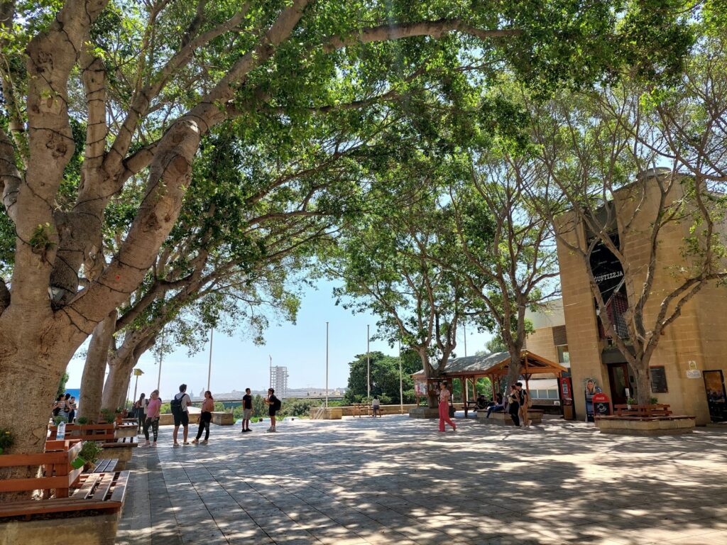 马耳他大学“学历乌龙”震动教育界：400名教师资格毕业生卷入文件错误