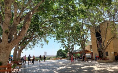 马耳他大学“学历乌龙”震动教育界：400名教师资格毕业生卷入文件错误